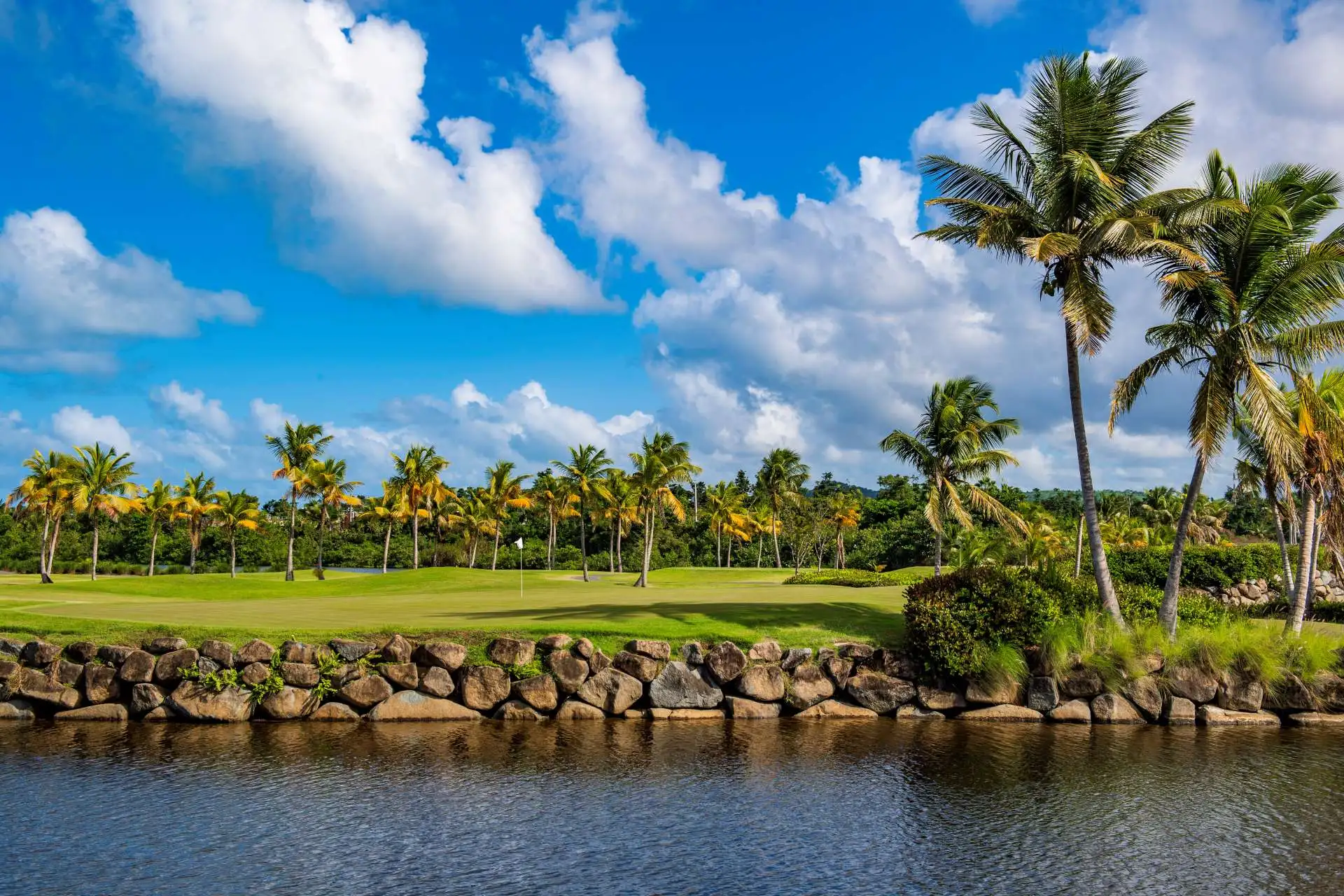 2025-2026 GOLF PR JUNIOR SERIES